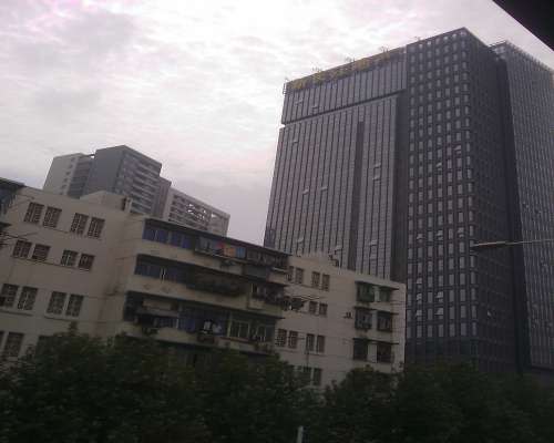 新长江国际